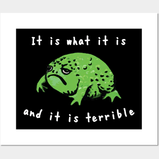 It Is What It Is And It Is Terrible Frog Funny Meme Posters and Art